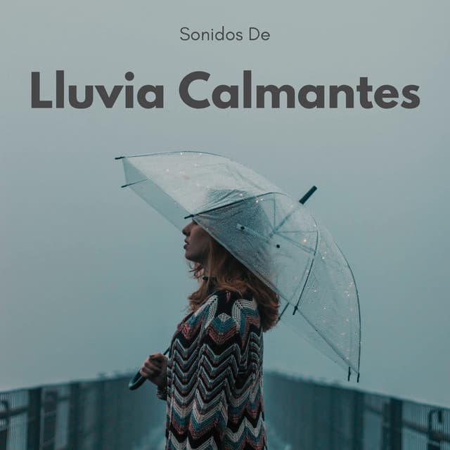 Sonidos De Lluvia Calmantes - La biblioteca de la lluvia
