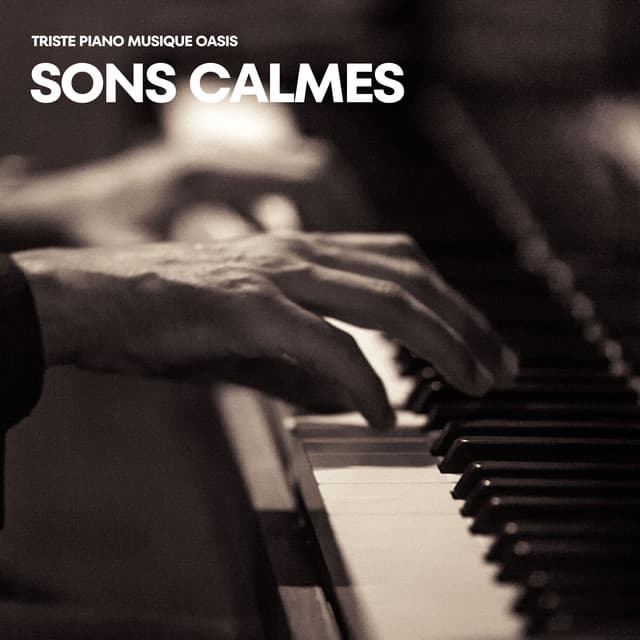 Sons Calmes: Piano Méditation - Triste piano musique oasis