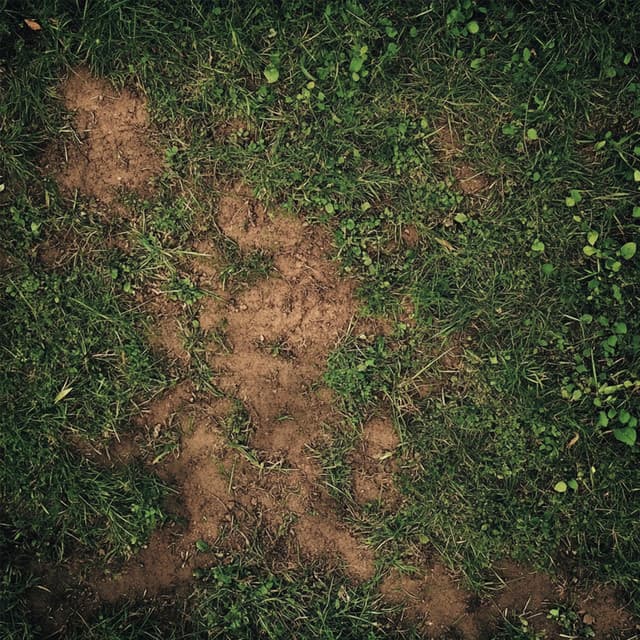 this is what it feels like, but lofi - louisette