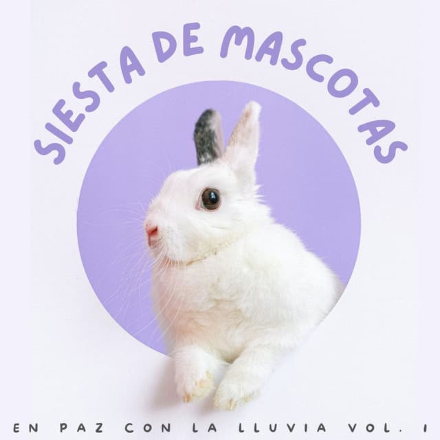 Siesta De Mascotas: En Paz Con La Lluvia Vol. 1 - Grabaciones de lluvia