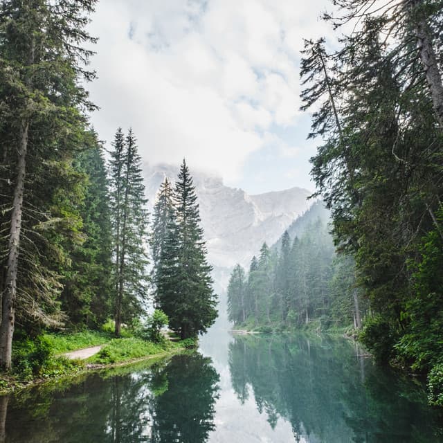 Musical Oasis: River's Serene Echoes - Moods & Water sounds