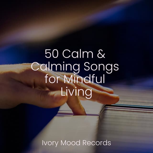 50 Calm & Calming Songs for Mindful Living - Music That Will Make You Cry