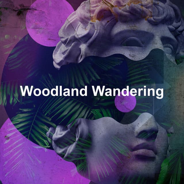 Woodland Wandering - HD Nature Sound Library