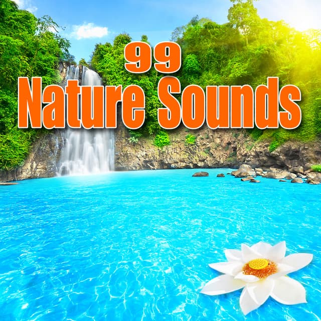 Best Nature Sounds