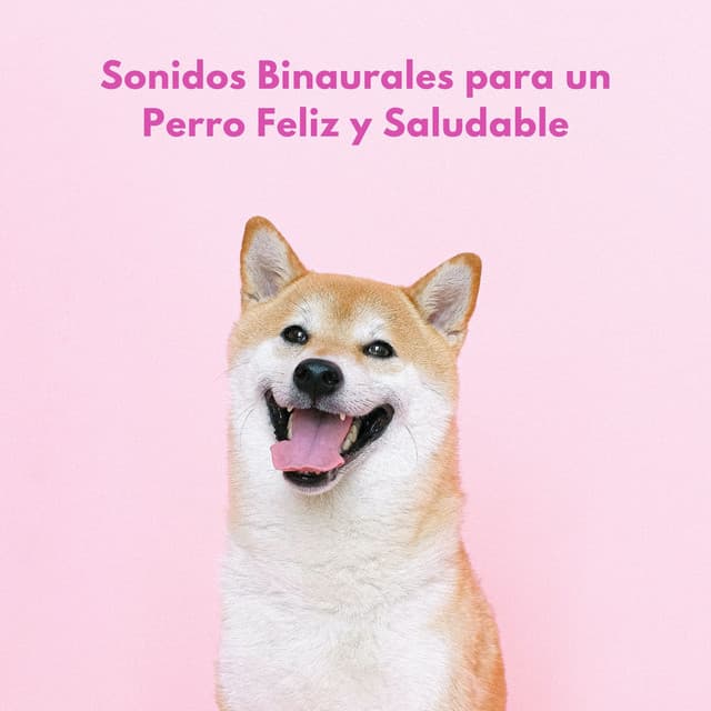 Sonidos Binaurales Para Un Perro Feliz Y Saludable - Ondas de música para perros