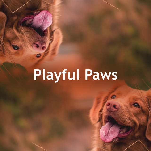 Playful Paws - Dog’s Music