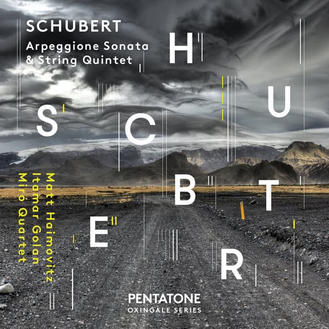 Schubert: Arpeggione Sonata & String Quintet - Franz Schubert