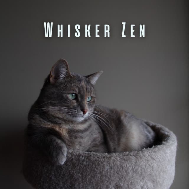 Whisker Zen: Calming Tunes for Cat Meditation - The Meditations