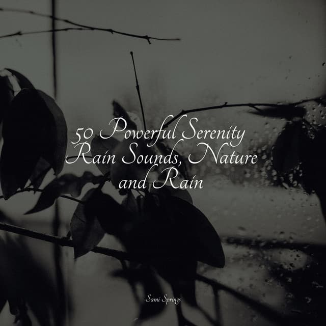 50 Powerful Serenity Rain Sounds, Nature and Rain - Música relaxante