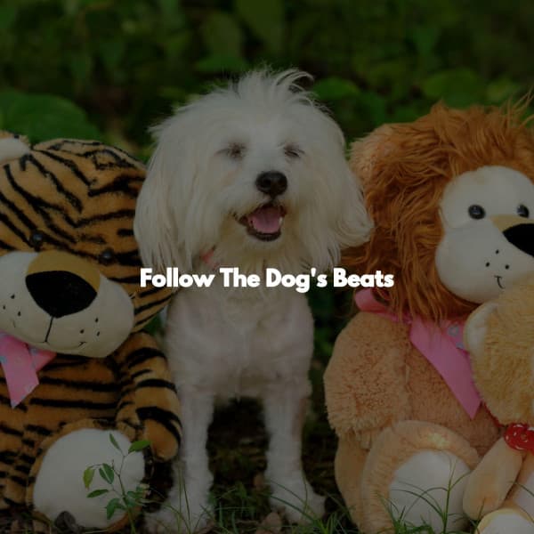 Follow The Dog's Beats - Música de la Oficina