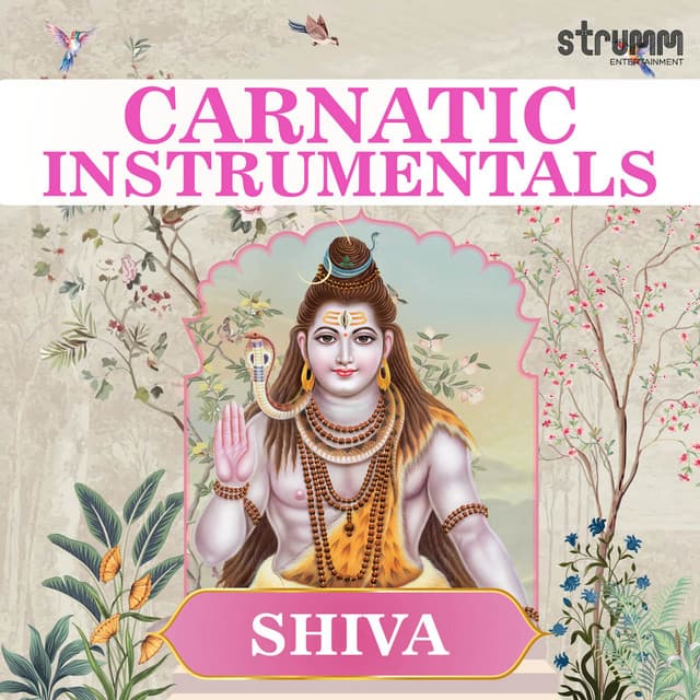 Carnatic Instrumentals - Shiva - Ramachandra Murthy