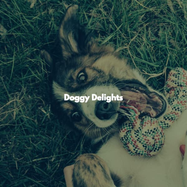 Doggy Delights - Dinner Jazz Playlist