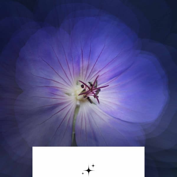 Trumpet Bossa - Background for Resting Aprils - French Cafe Jazz Society