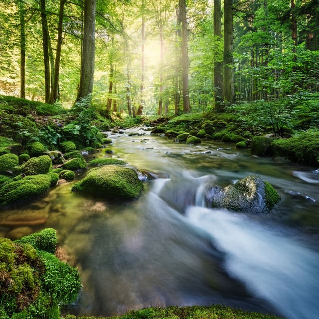 Music For Tranquility: Soft Melodies For Inner Peace - Perfect Meditative Music