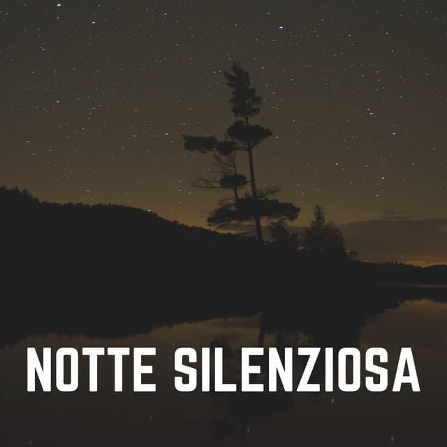 Notte Silenziosa - Rumore Bianco