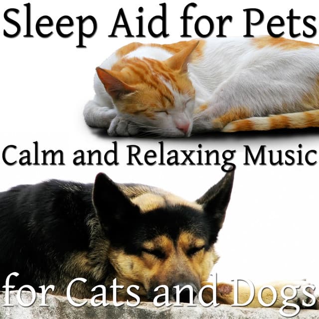 Calming Pet Care Masters