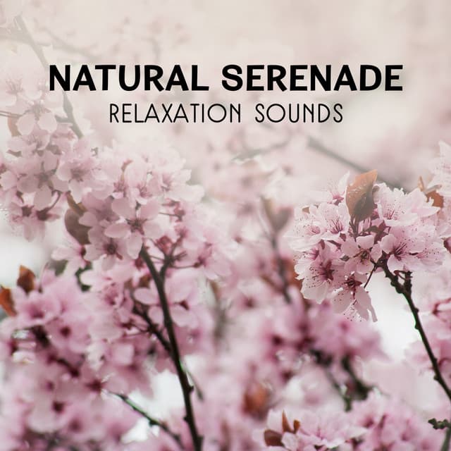 Natural Serenade – Relaxation Sounds, Gentle Meditation, Healing Music for Peace & Harmony, Spiritual Experience - Awesome Nature Sounds Ensemble
