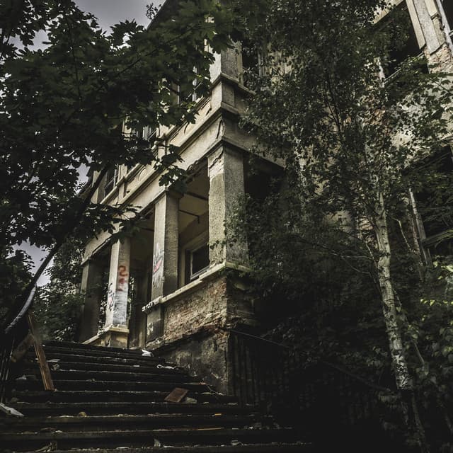 Spellbound Slumbering Haven - Solis Reverie