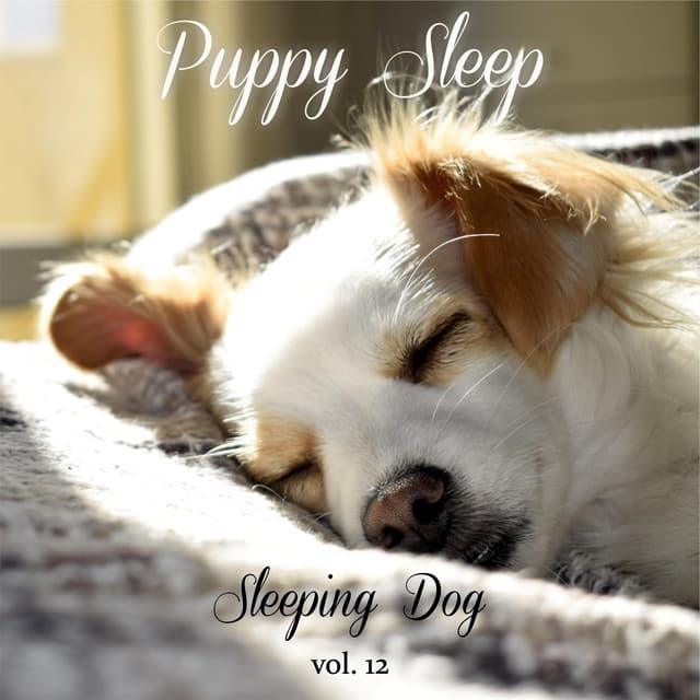 Sleeping Dog Volume 12 - Puppy Sleep