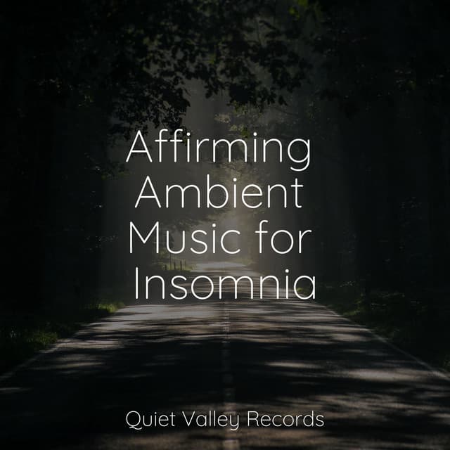 Affirming Ambient Music for Insomnia - Big Sounds