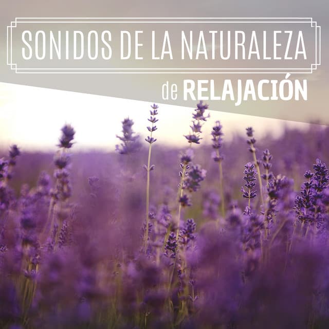Sonidos de la Naturaleza de Relajación - Selección de la Mejor Música Relax y Meditación 2019 Ruido Mar, Lluvia y Pájaros - Tranquilidad Eterna