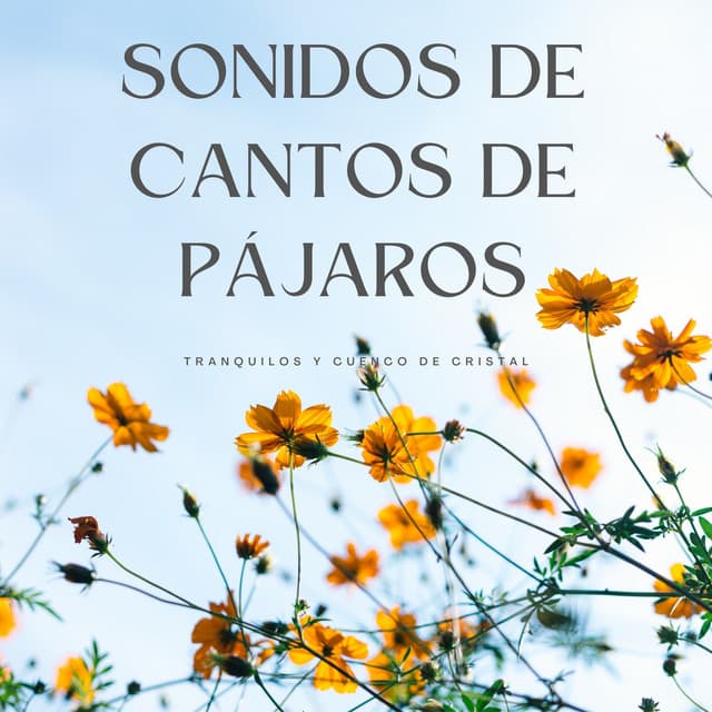 Sonidos De Cantos De Pájaros Tranquilos Y Cuenco De Cristal - Hola Pájaros