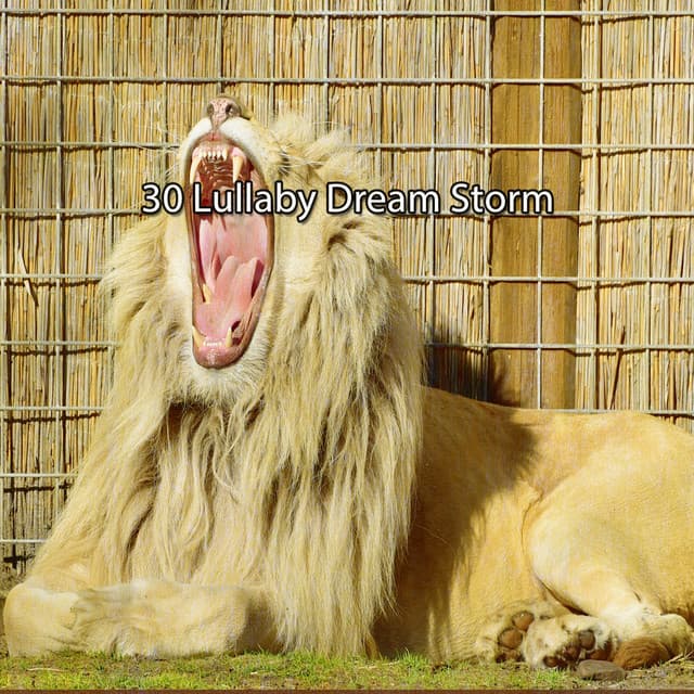 30 Lullaby Dream Storm - Piano and Thunderstorm