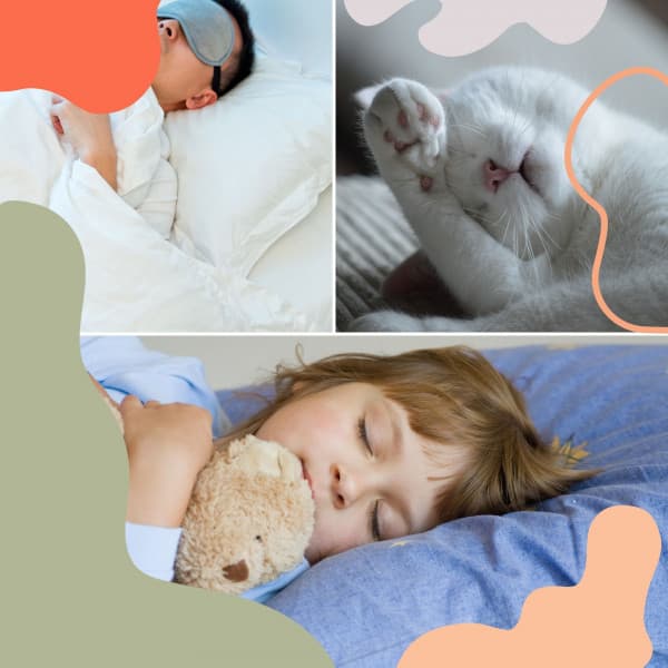 Contemporary Indian Chill Out Music - Background for Deep Sleeping - Relaxing ASMR