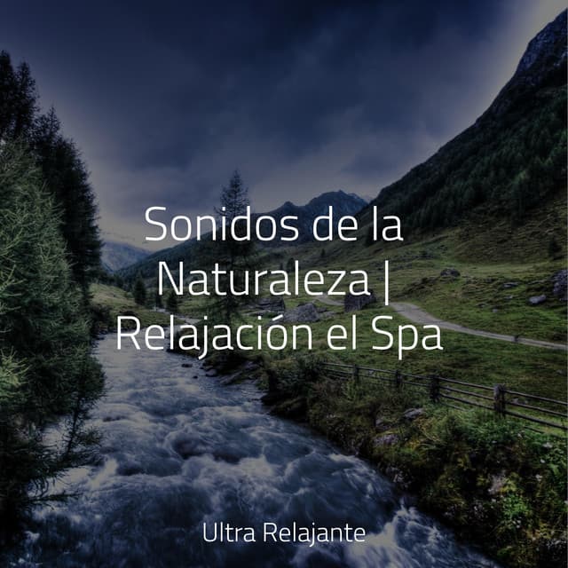 Sonidos de la Naturaleza | Relajación el Spa - Relajantes sonidos de lluvia