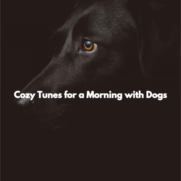 Cozy Tunes for a Morning with Dogs - Musique du Matin
