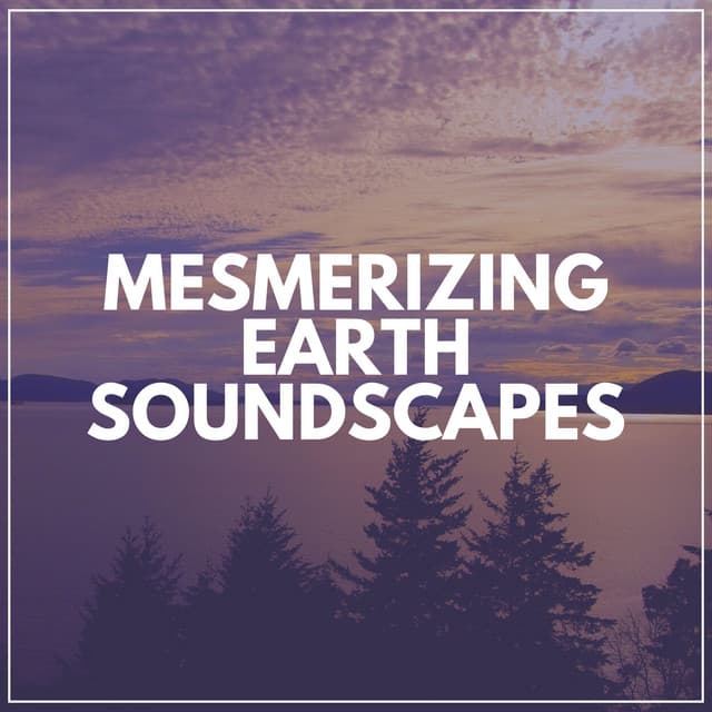 Mesmerizing Earth Soundscapes - Sounds Of The Earth