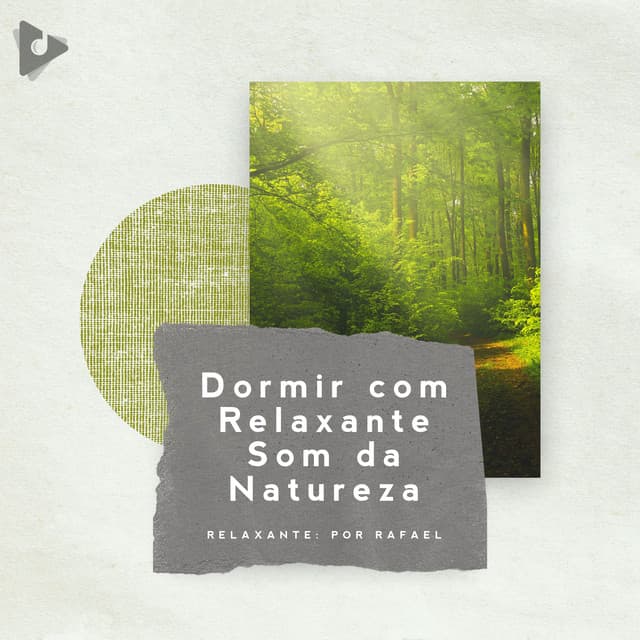 Dormir com Relaxante Som da Natureza - Natureza