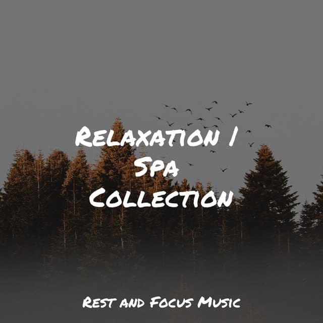 Relaxation | Spa Collection - Chillout Lounge Brain Waves Isochronic Tones Brainwave Entrainment