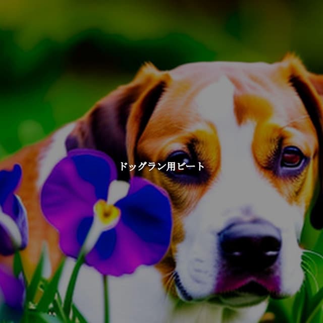 Jazz Rilassante Primo