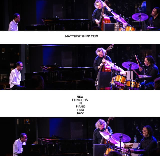 New Concepts in Piano Trio Jazz - Matthew Shipp