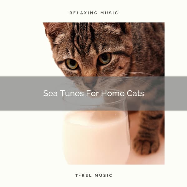 Sea Tunes For Home Cats - Cat Total Relax