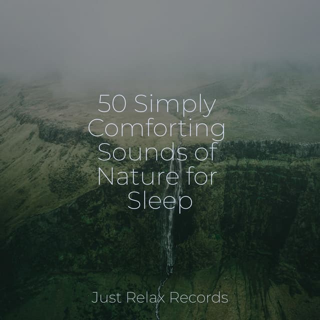 50 Simply Comforting Sounds of Nature for Sleep - Yoga Sounds