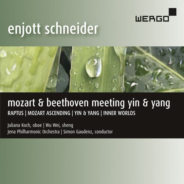 Enjott Schneider: Mozart & Beethoven Meeting Yin & Yang - Enjott Schneider