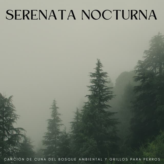 Serenata Nocturna: Canción De Cuna Del Bosque Ambiental Y Grillos Para Perros - Grillos nocturnos