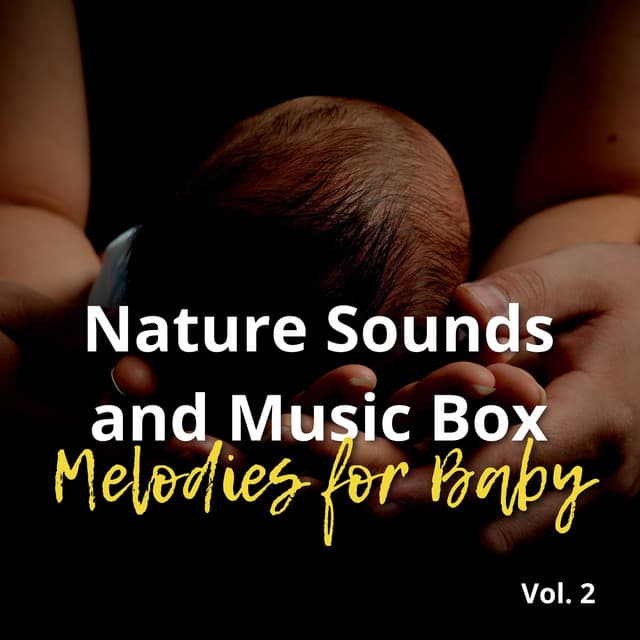 Nature Sounds and Music Box Melodies for Baby Vol. 2 - Sleeping Babies Songs