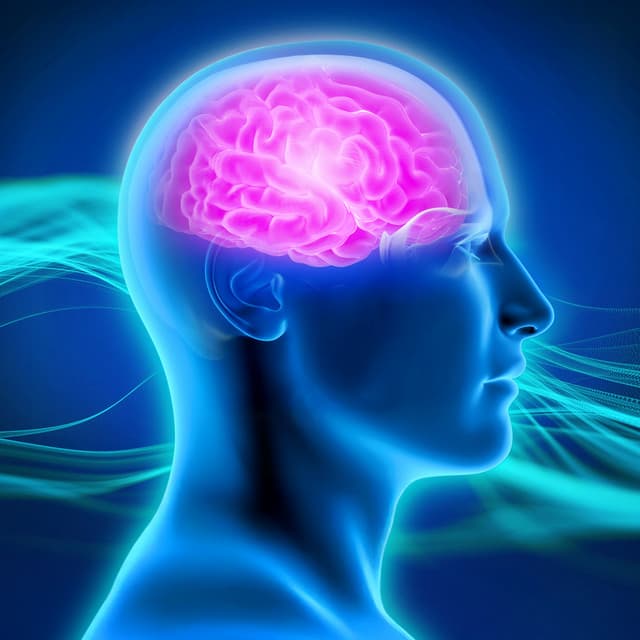 Neurological Calm Instant Migraine Relief - Heather Migrain