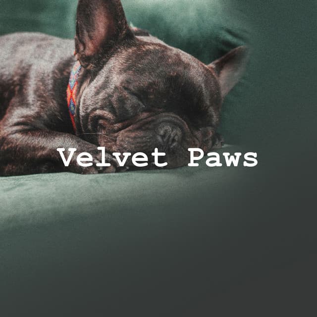 Velvet Paws - Dog’s Music