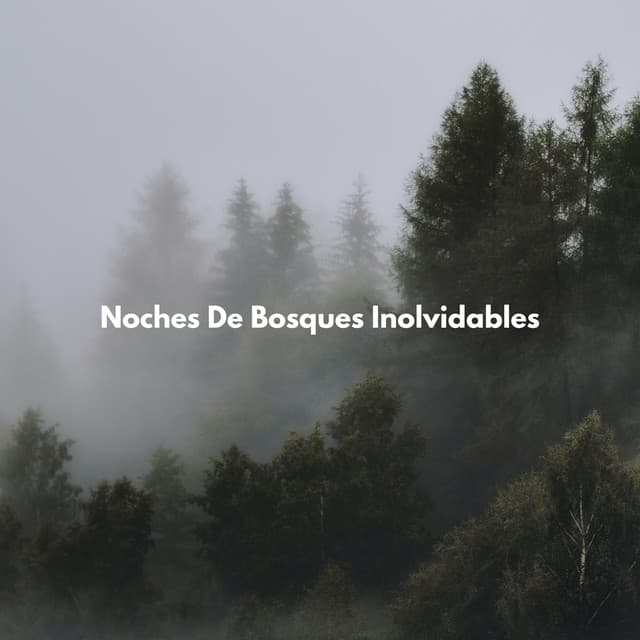 Noches De Bosques Inolvidables - Sonidos Del Bosques