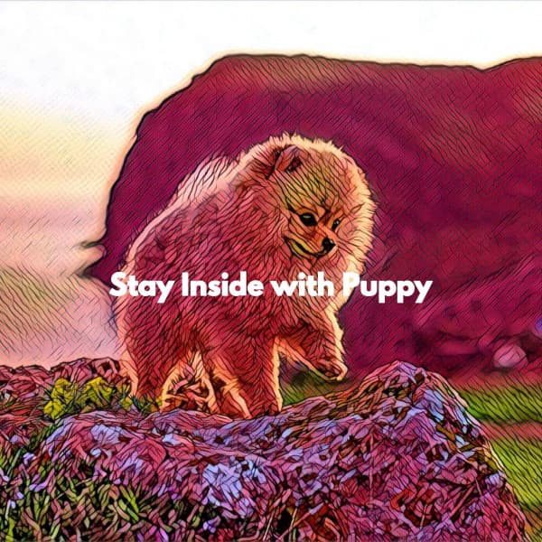 Stay Inside with Puppy - Feel Good Dinner Table Music