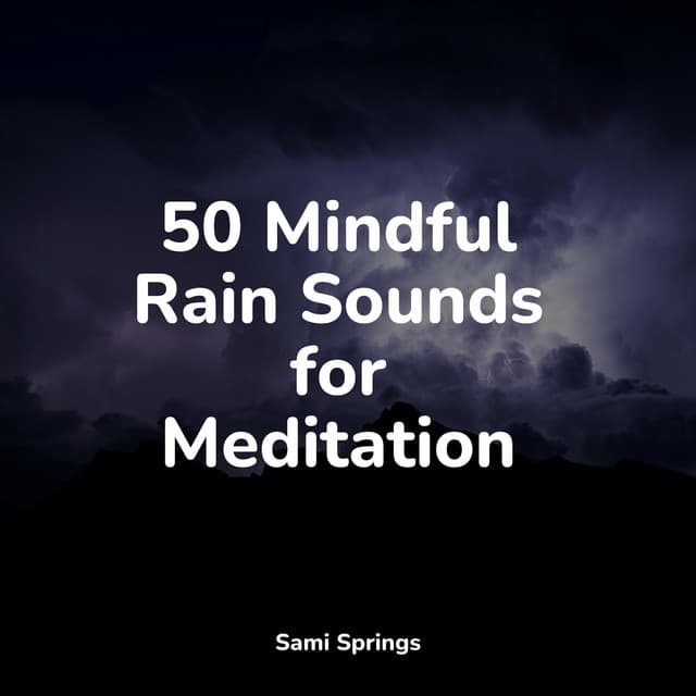50 Mindful Rain Sounds for Meditation - Tailormade Ocean Waves