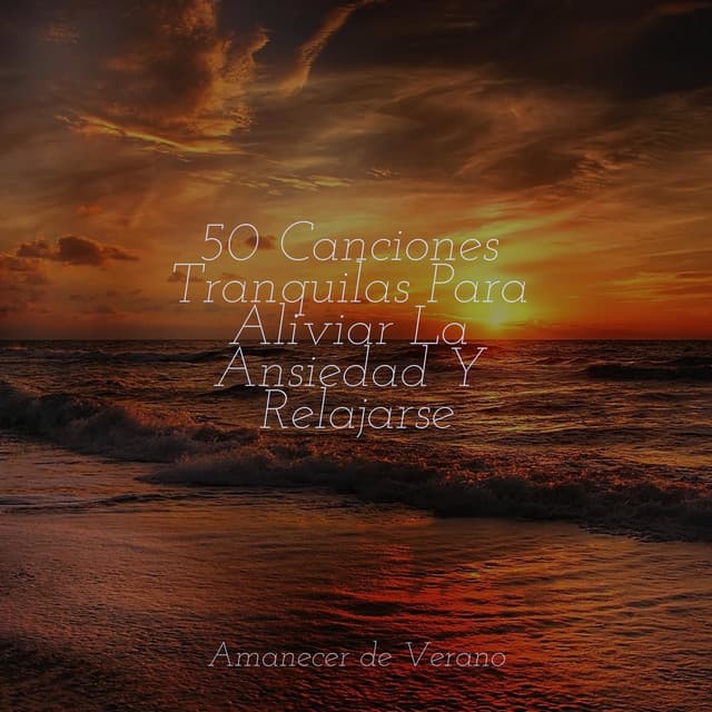 50 Canciones Tranquilas Para Aliviar La Ansiedad Y Relajarse - Zen Music Garden