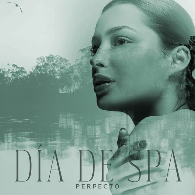 Día de Spa Perfecto: Música de Spa Curativa con Sonidos de la Naturaleza, Bienestar para Tu Cuerpo - Academia de Música con Sonidos de la Naturaleza