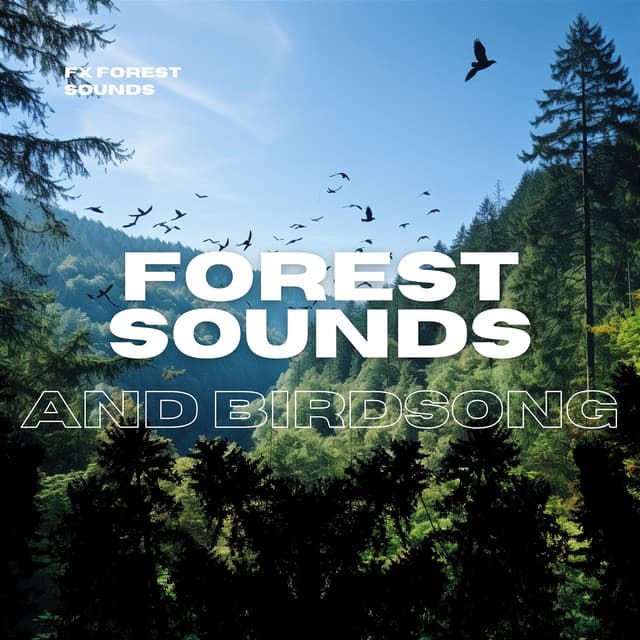Forest Sounds and Birdsong - FX Forest Sounds