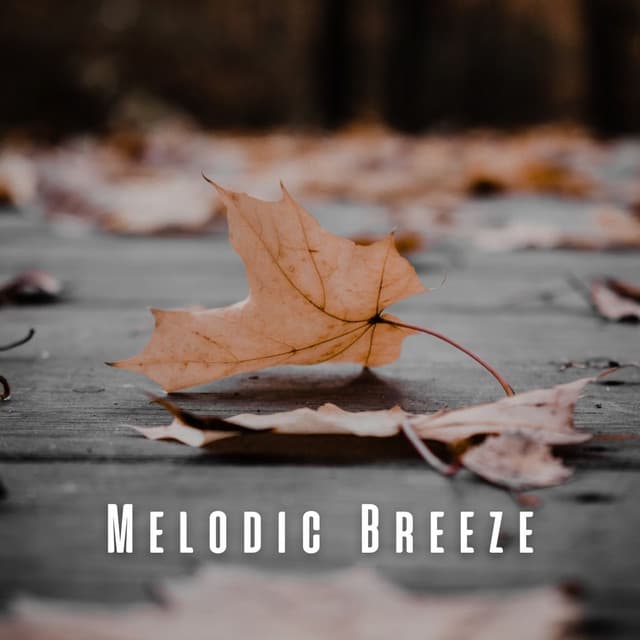 Melodic Breeze: Leaves Rustling in the Wind - Soothing Air