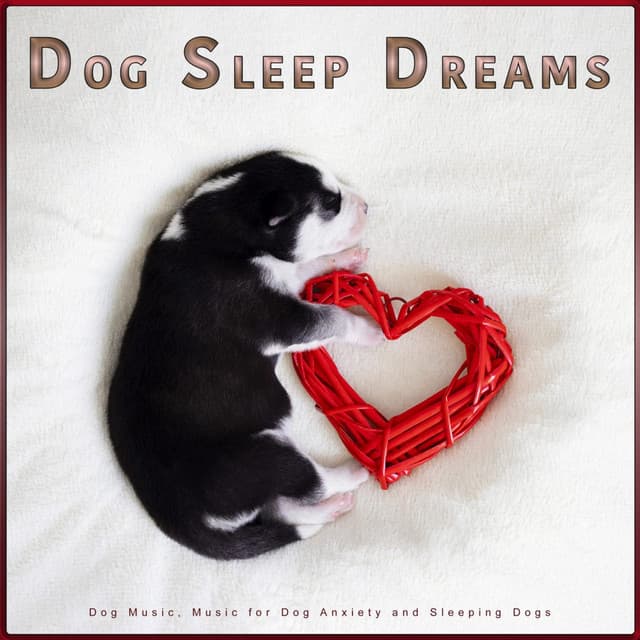Dog Sleep Dreams: Dog Music, Music for Dog Anxiety and Sleeping Dogs - Dog Sleep Dreams